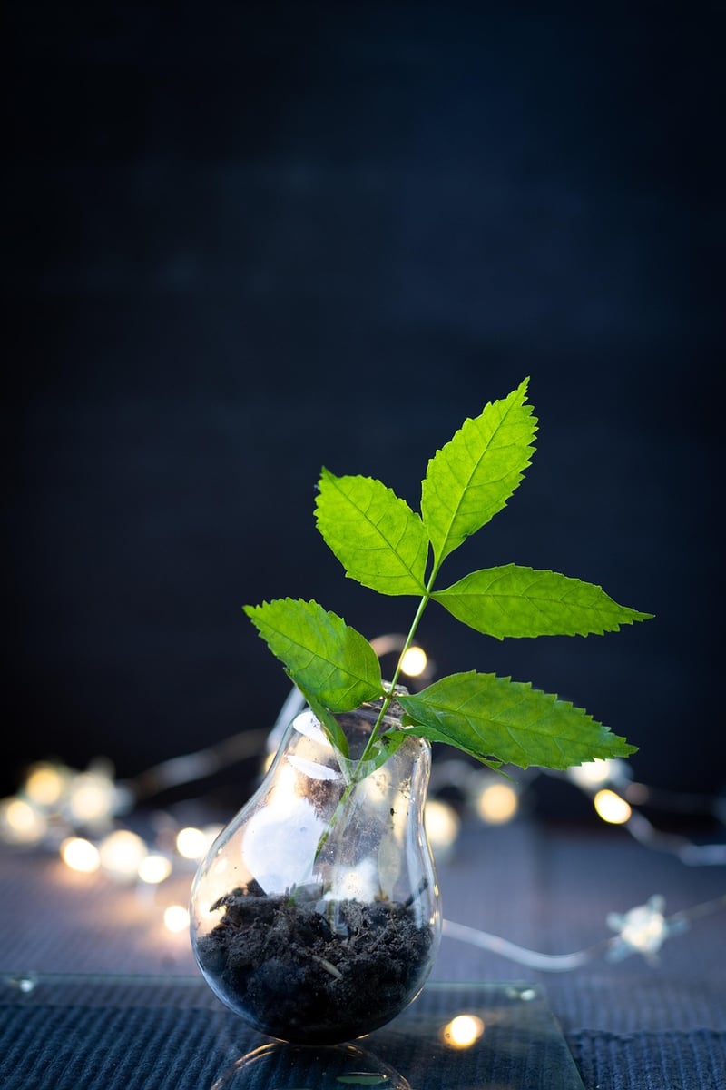 Upcycled Gift